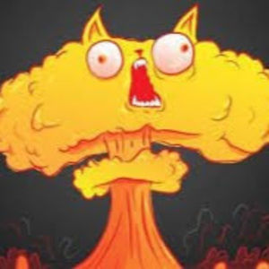 Meet your Posher, Evan